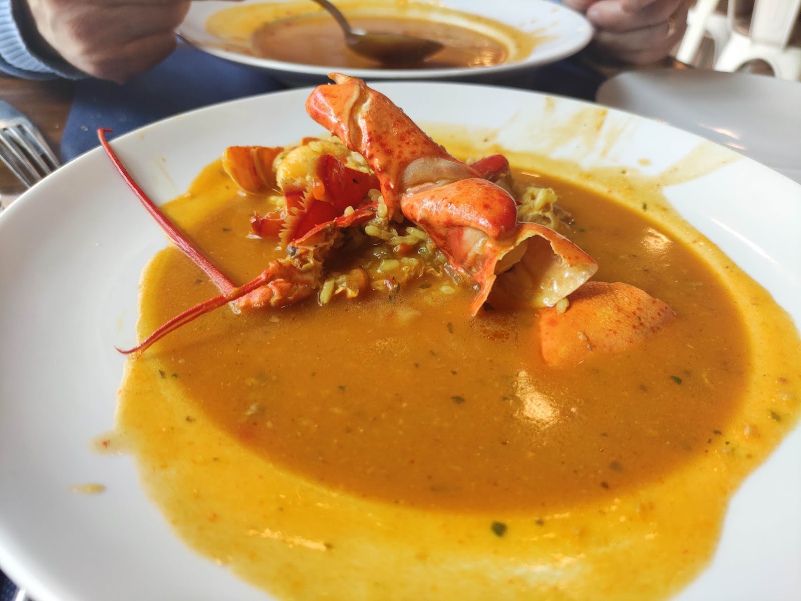 Lobster in creamy yellow sauce on white plate